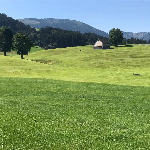 Impressionen von der Wanderung wp-content/uploads/2022/01/117081871_10220736154508136_4213363937466153936_n.jpg