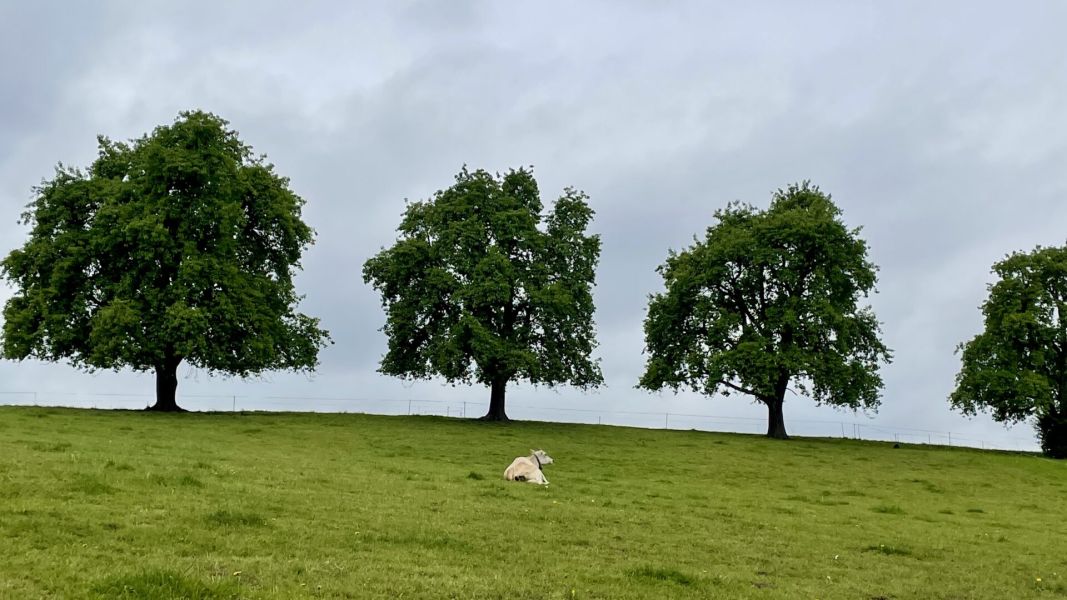 Impressionen von der Wanderung wp-content/uploads/2025/04/IMG_4468.jpeg