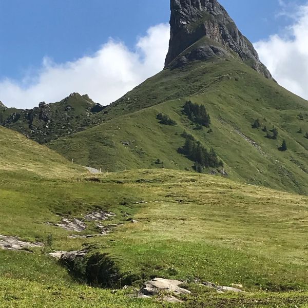 Impressionen von der Wanderung wp-content/uploads/2022/01/242095618_10223664933285775_8341751781249872045_n.jpg