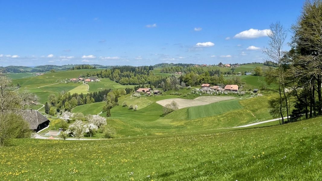 Impressionen von der Wanderung wp-content/uploads/2026/04/IMG_8018.jpeg