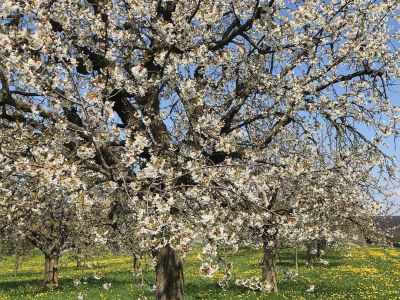 Basel-Landschaft: Mit viel Charme!