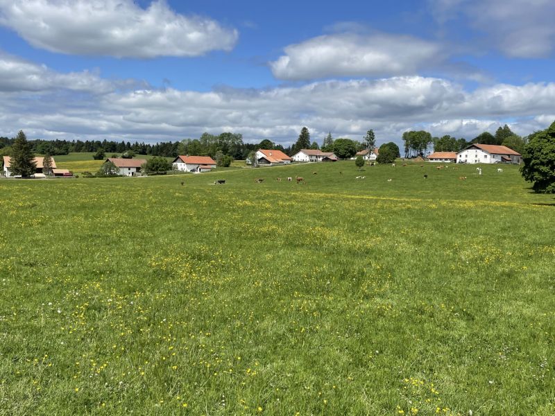 Impressionen von der Wanderung wp-content/uploads/2022/05/IMG_4732.jpeg