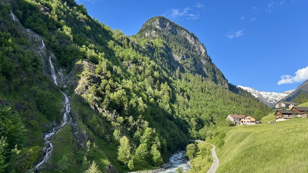 Impressionen von der Wanderung wp-content/uploads/2025/06/IMG_3521.jpeg