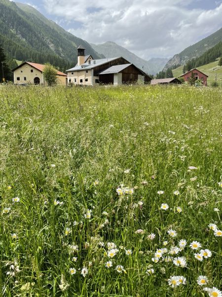 Impressionen von der Wanderung wp-content/uploads/2022/07/IMG_5578-Kopie-2.jpeg