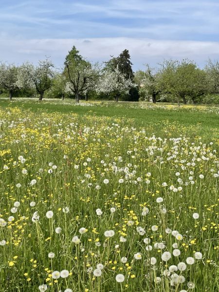 Impressionen von der Wanderung wp-content/uploads/2025/04/IMG_4533.jpeg