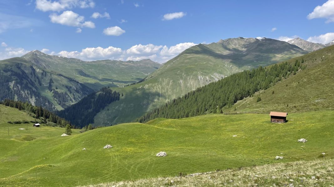 Impressionen von der Wanderung wp-content/uploads/2023/06/IMG_2062.jpeg