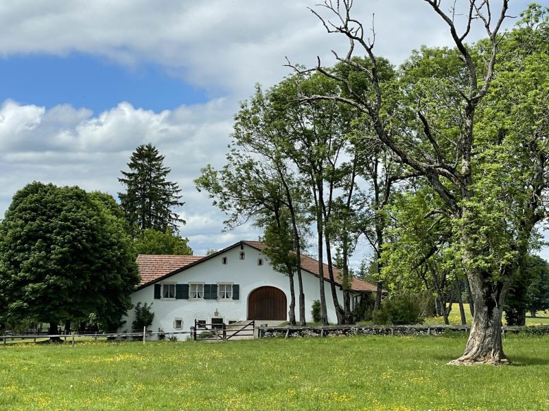 Impressionen von der Wanderung wp-content/uploads/2022/05/IMG_4724.jpeg