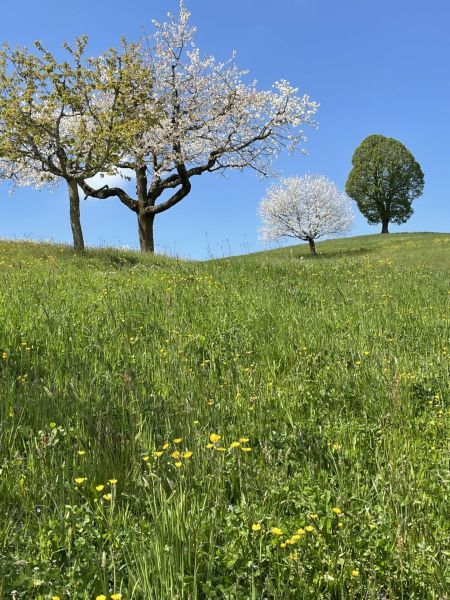 Impressionen von der Wanderung wp-content/uploads/2022/05/IMG_4422-scaled.jpeg