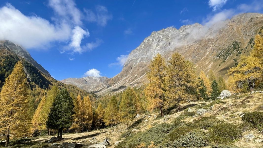 Impressionen von der Wanderung wp-content/uploads/2025/10/IMG_6957.jpeg