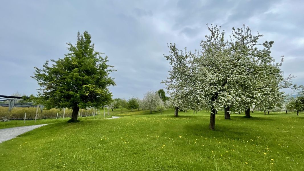 Impressionen von der Wanderung wp-content/uploads/2025/04/IMG_4492.jpeg