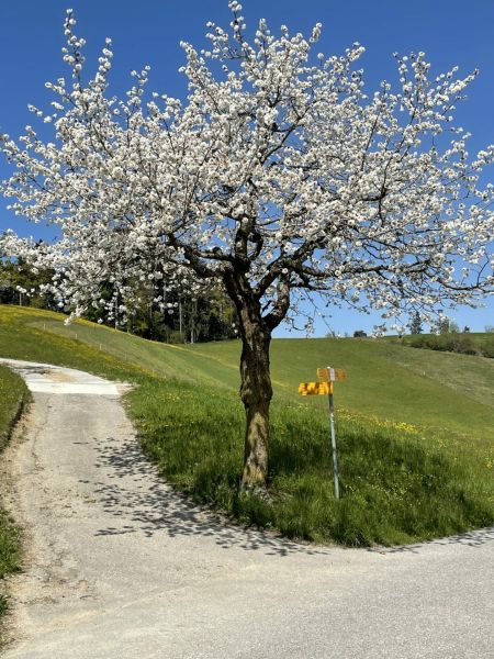 Impressionen von der Wanderung wp-content/uploads/2022/05/IMG_4417-scaled.jpeg