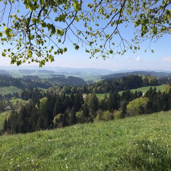 Bild von der Wandertour Das Emmental: auf den Spuren der Klassiker von Jeremias Gotthelf