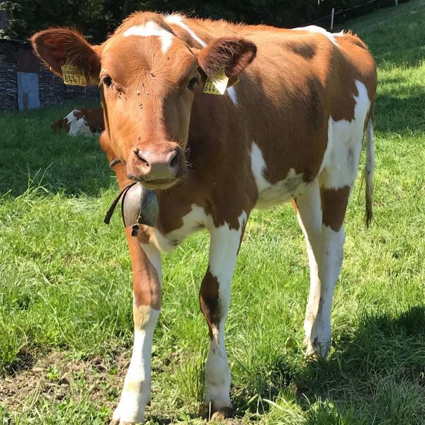 Impressionen von der Wanderung wp-content/uploads/2022/01/58950106_10216621518084797_5366963074060255232_n.jpg