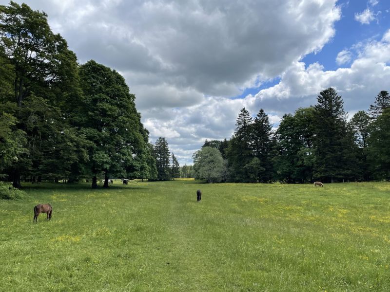 Bild von der Wandertour Im Westen ruft der Wilde Westen