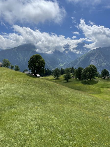 Impressionen von der Wanderung wp-content/uploads/2022/06/IMG_5006.jpeg