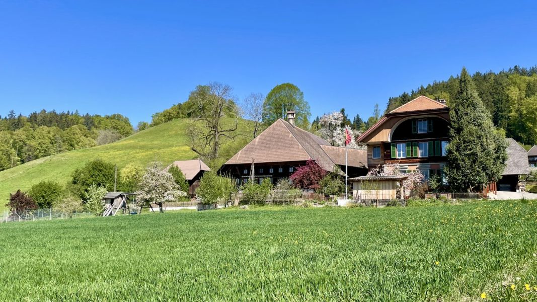 Impressionen von der Wanderung wp-content/uploads/2026/04/IMG_7996.jpeg