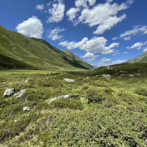 Impressionen von der Wanderung wp-content/uploads/2022/07/Bild-Alain_113-Kopie.jpeg