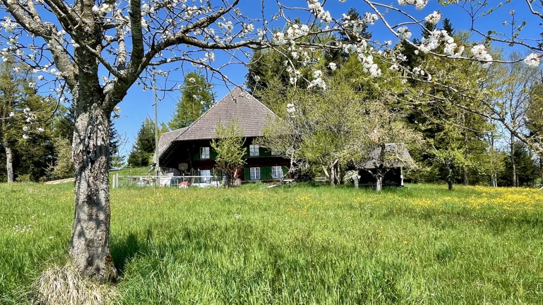 Impressionen von der Wanderung wp-content/uploads/2026/04/IMG_8013.jpeg