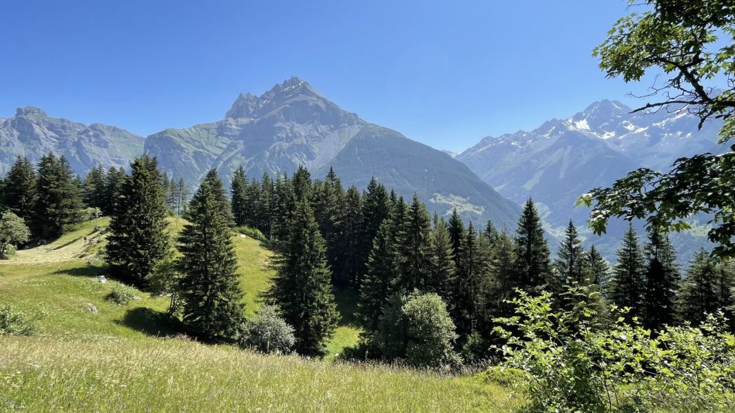 Impressionen von der Wanderung wp-content/uploads/2023/06/IMG_2421.jpeg