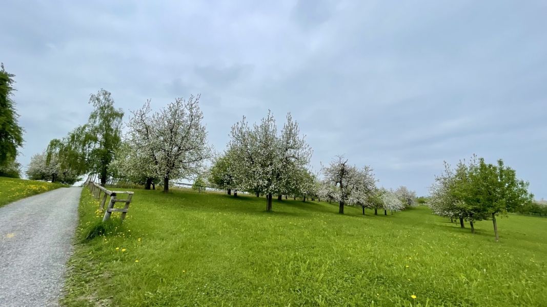 Impressionen von der Wanderung wp-content/uploads/2025/04/IMG_4511.jpeg