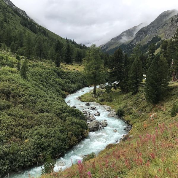 Impressionen von der Wanderung wp-content/uploads/2022/01/118984502_10220953867750831_4341450060804748048_n.jpg