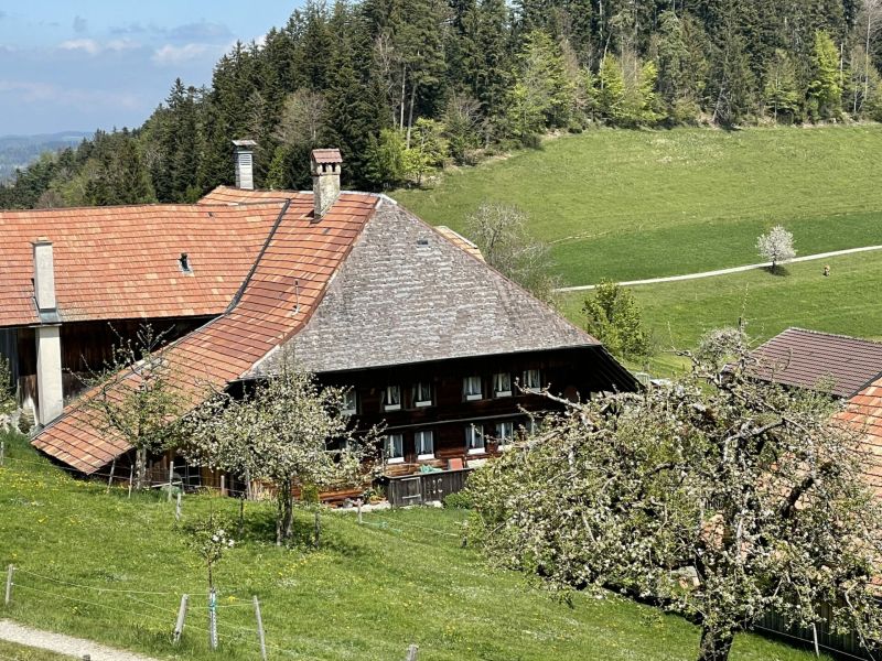 Impressionen von der Wanderung wp-content/uploads/2022/05/IMG_4415-scaled.jpeg