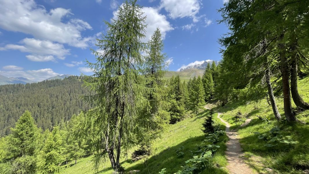 Impressionen von der Wanderung wp-content/uploads/2023/06/IMG_2028.jpeg