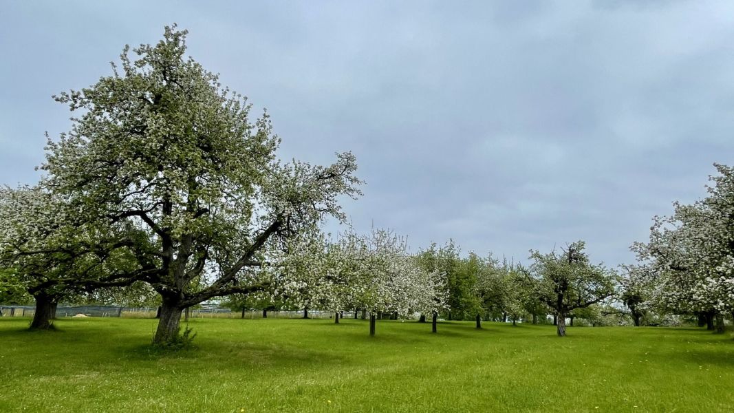 Impressionen von der Wanderung wp-content/uploads/2025/04/IMG_4502.jpeg