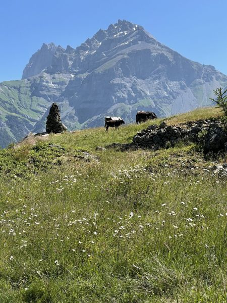 Impressionen von der Wanderung wp-content/uploads/2023/06/IMG_2425.jpeg