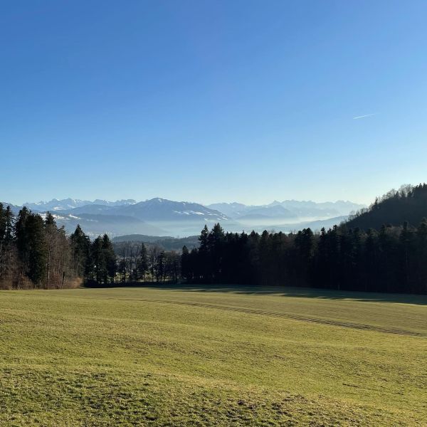 Bild von der Wandertour Fernsicht und Urwald vor den Toren Zürichs