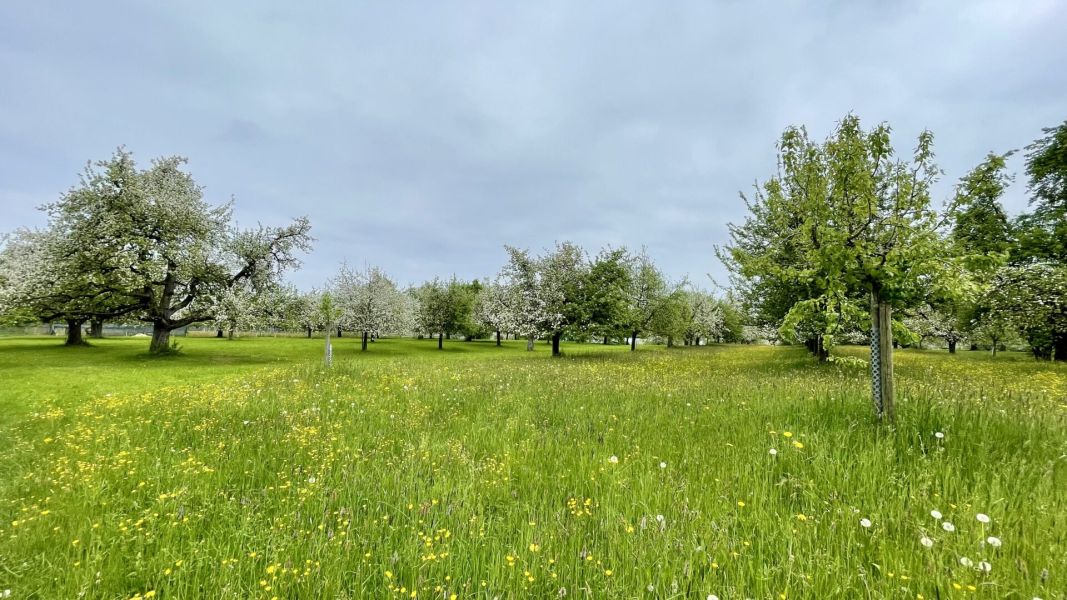 Impressionen von der Wanderung wp-content/uploads/2025/04/IMG_4498.jpeg