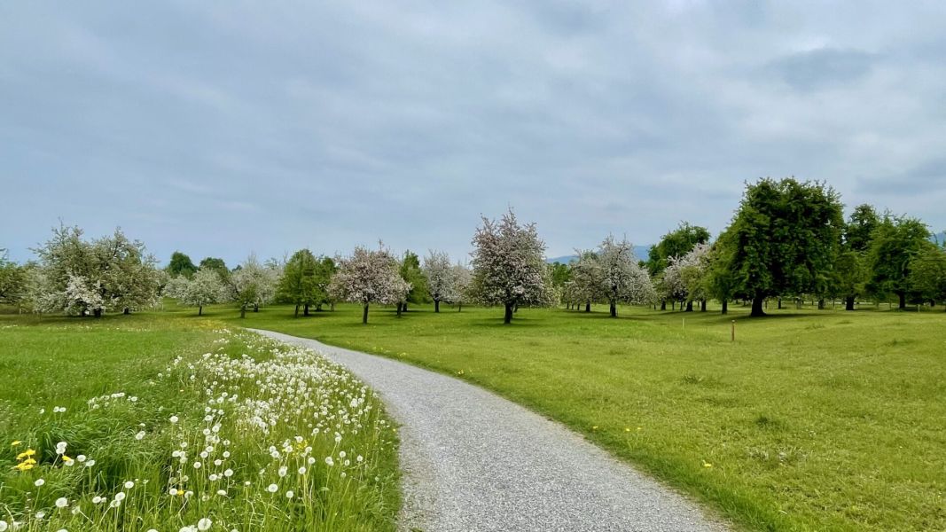 Impressionen von der Wanderung wp-content/uploads/2025/04/IMG_4484.jpeg