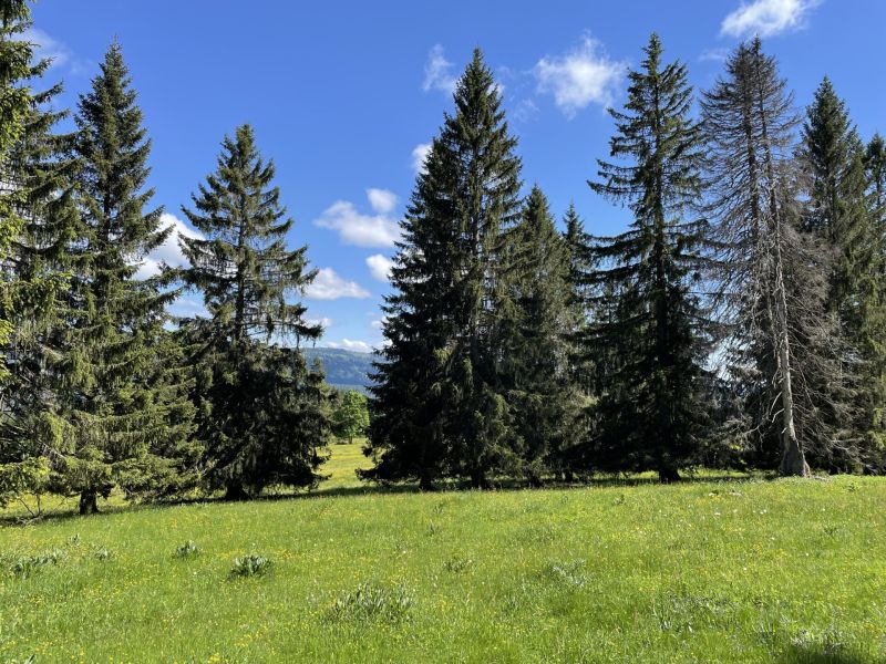 Impressionen von der Wanderung wp-content/uploads/2022/05/IMG_4784.jpeg