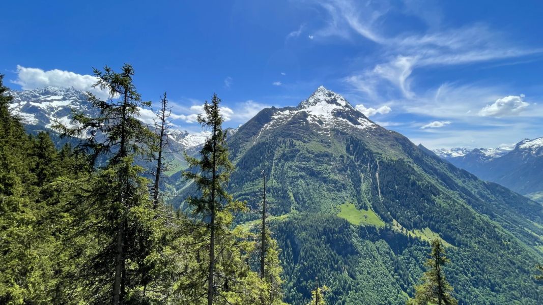 Impressionen von der Wanderung wp-content/uploads/2025/06/IMG_5016.jpeg