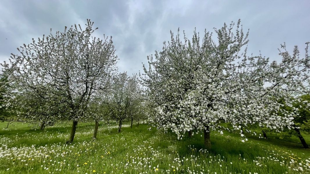 Impressionen von der Wanderung wp-content/uploads/2025/04/IMG_4516.jpeg