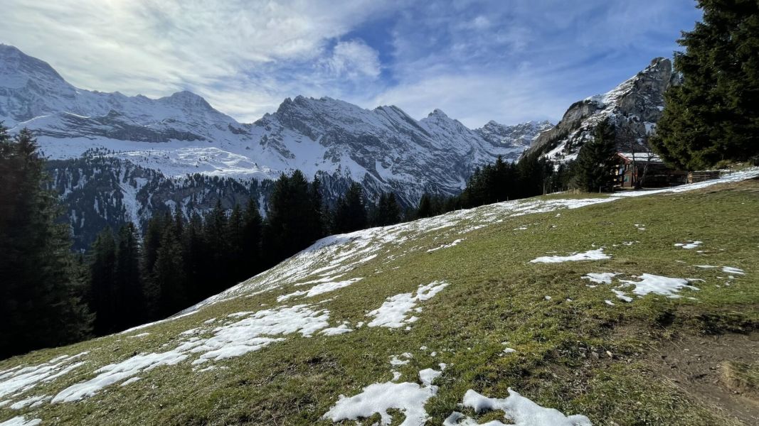 Impressionen von der Wanderung wp-content/uploads/2022/11/IMG_7450.jpeg