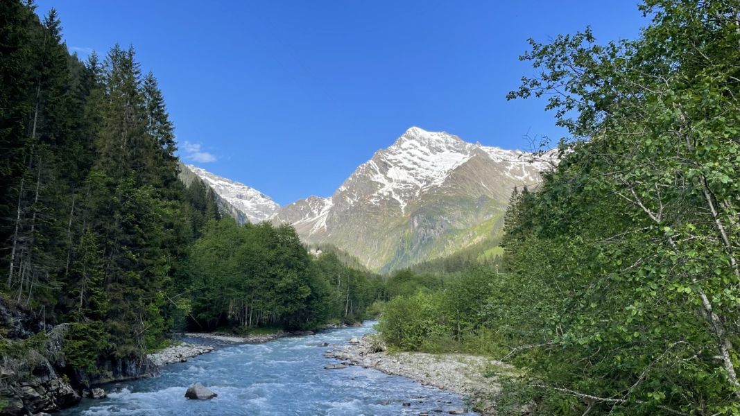 Impressionen von der Wanderung wp-content/uploads/2025/06/IMG_5068.jpeg