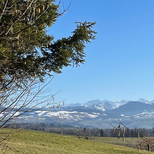 Impressionen von der Wanderung wp-content/uploads/2022/02/274072007_10224486446543093_5426918050242289962_n.jpg