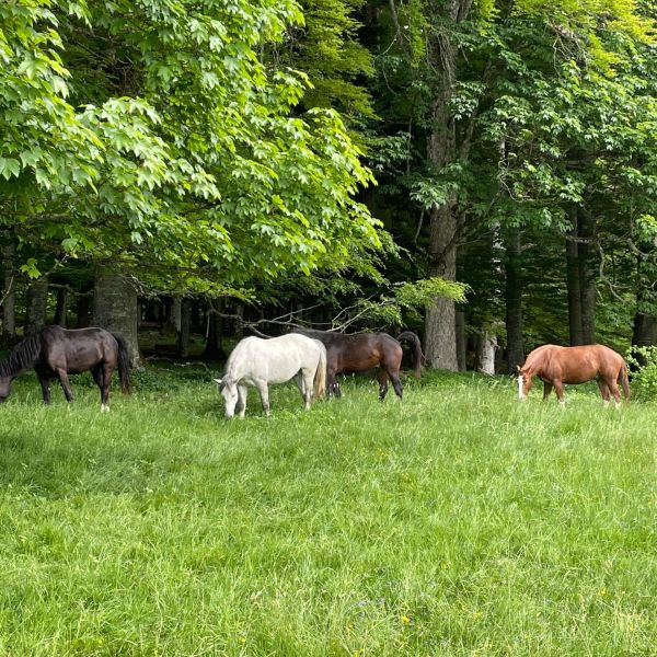 Impressionen von der Wanderung wp-content/uploads/2022/05/IMG_002.jpeg