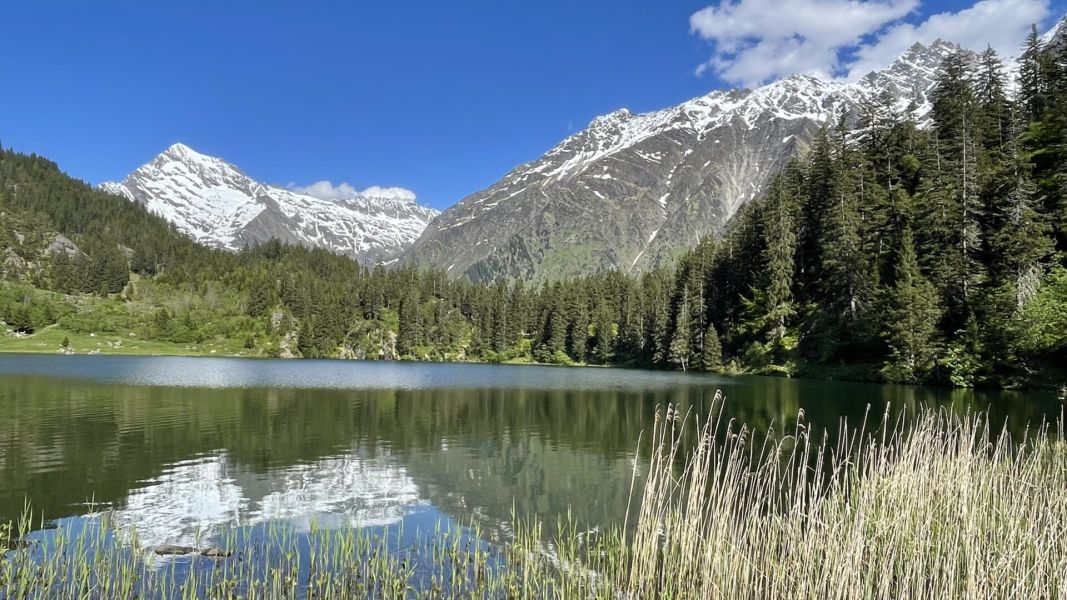 Impressionen von der Wanderung wp-content/uploads/2025/06/IMG_5061.jpeg