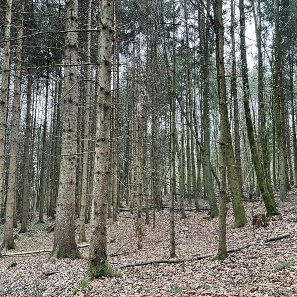 Impressionen von der Wanderung wp-content/uploads/2022/02/274233771_10224486446663096_5871506878366242665_n.jpg