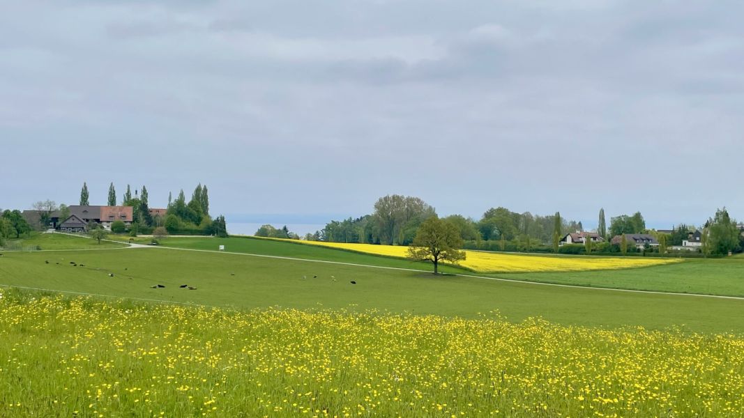 Impressionen von der Wanderung wp-content/uploads/2025/04/IMG_4457.jpeg