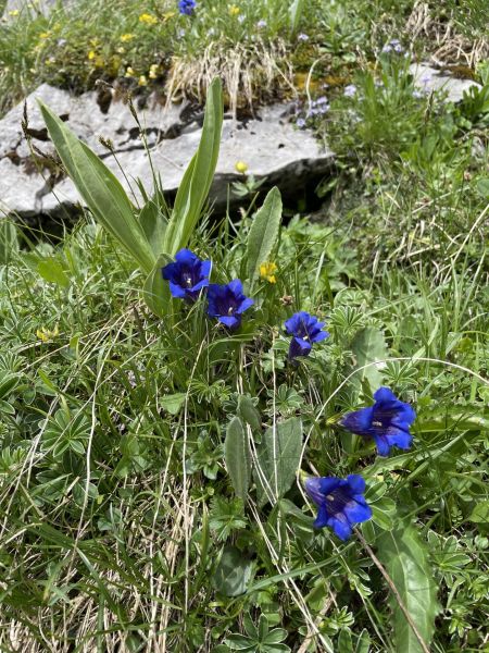 Impressionen von der Wanderung wp-content/uploads/2022/06/IMG_5016.jpeg