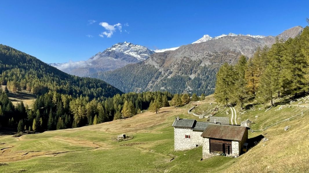 Impressionen von der Wanderung wp-content/uploads/2025/10/IMG_7036.jpeg