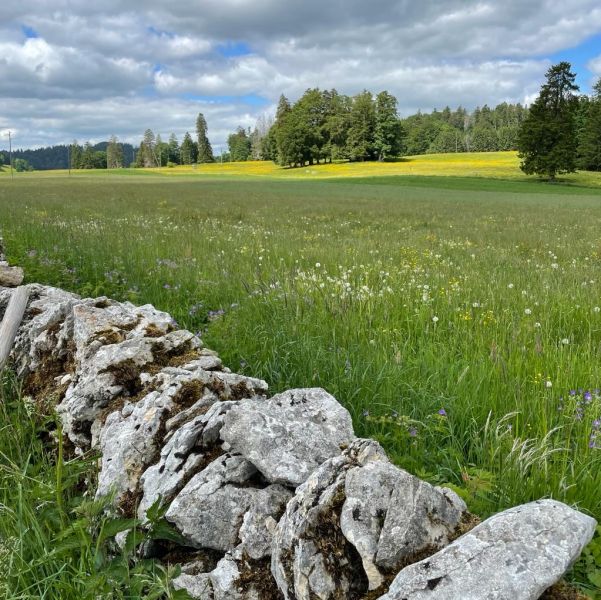 Impressionen von der Wanderung wp-content/uploads/2022/05/IMG_009.jpeg