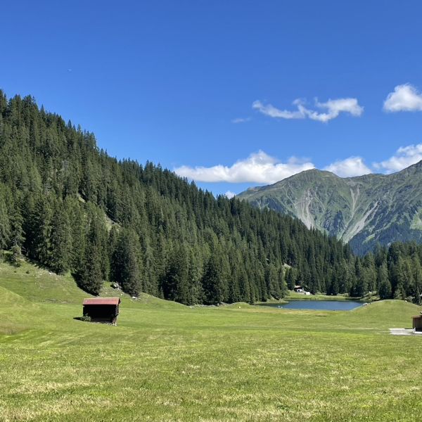 Impressionen von der Wanderung wp-content/uploads/2022/07/Bild-Alain_109-Kopie.jpeg