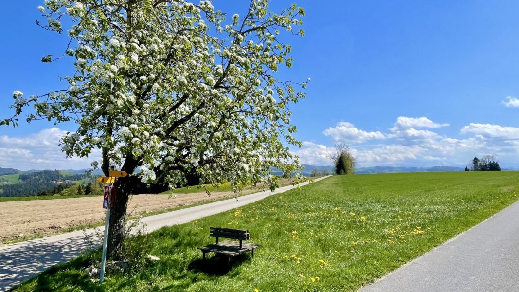 Impressionen von der Wanderung wp-content/uploads/2026/04/IMG_8033.jpeg