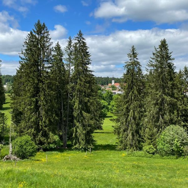 Impressionen von der Wanderung wp-content/uploads/2022/05/IMG_003.jpeg