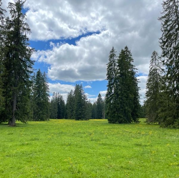 Impressionen von der Wanderung wp-content/uploads/2022/05/IMG_016.jpeg