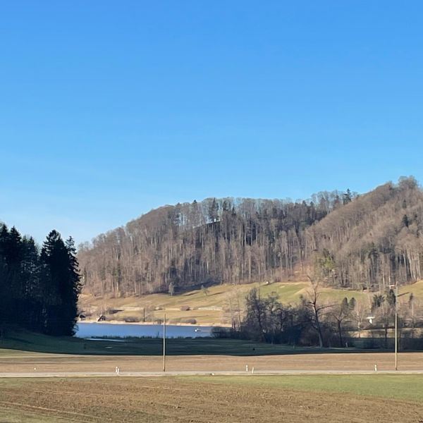 Impressionen von der Wanderung wp-content/uploads/2022/02/274161503_10224486446503092_1339423379681140190_n.jpg